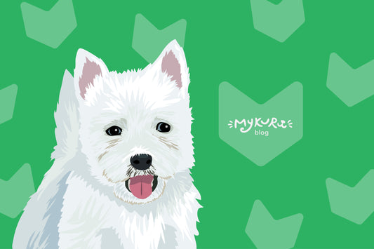 Unveiling the Charming History of Westie Dogs: From Working Paws to Beloved Companions